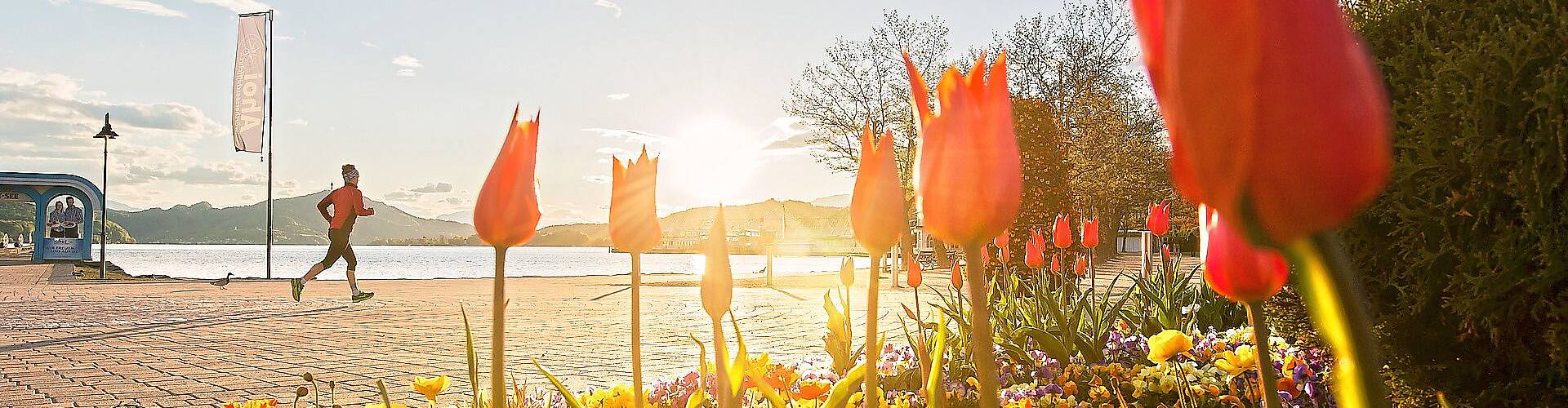 Woerthersee Laufen im Frühling