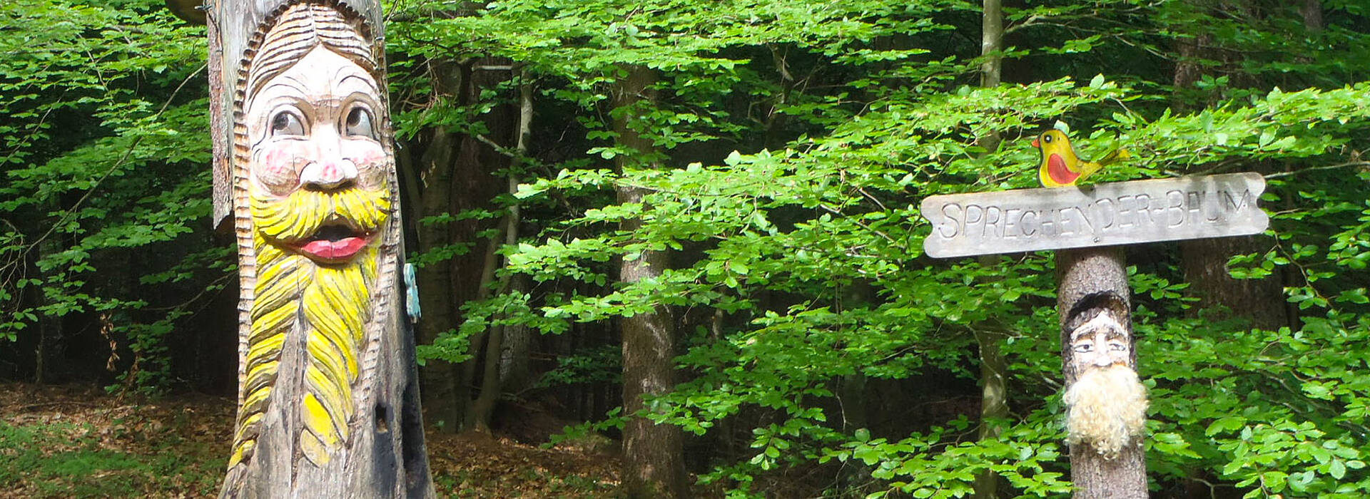 Zauberwald Rauschelesee